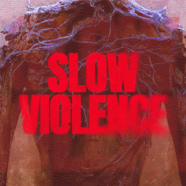 Slow Violence